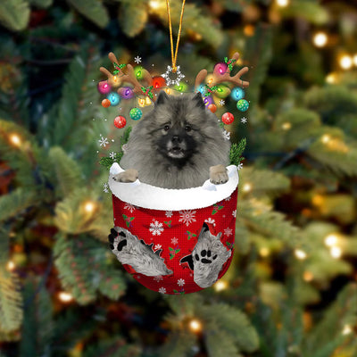 Keeshond