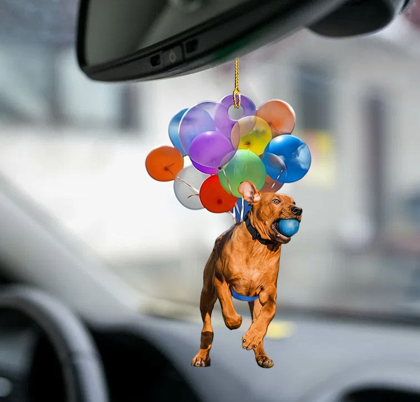 Rhodesian Ridgeback hond fly met ballonnen autohanger