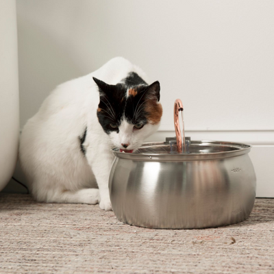 De Kittyfountain™ - Kattenset voor gezondheid en geluk