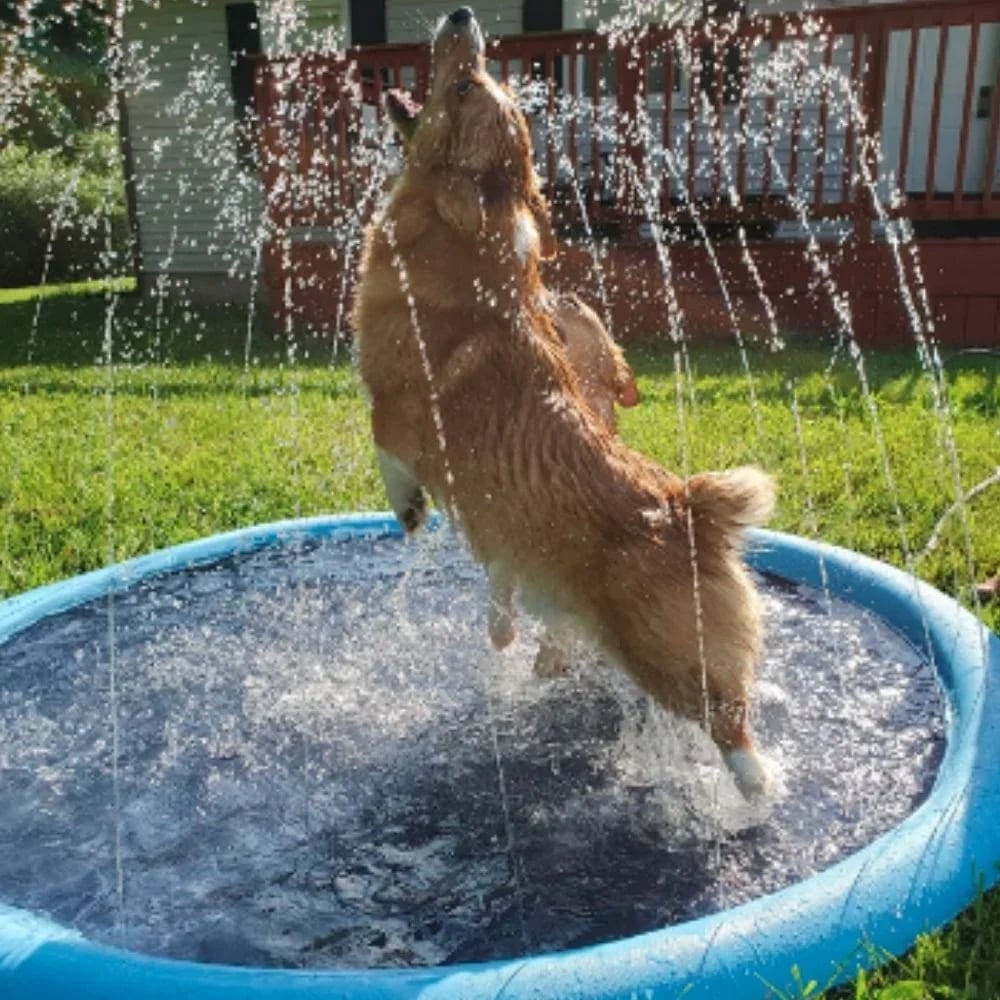 Opvouwbare buitenzwembad en watersproeimat