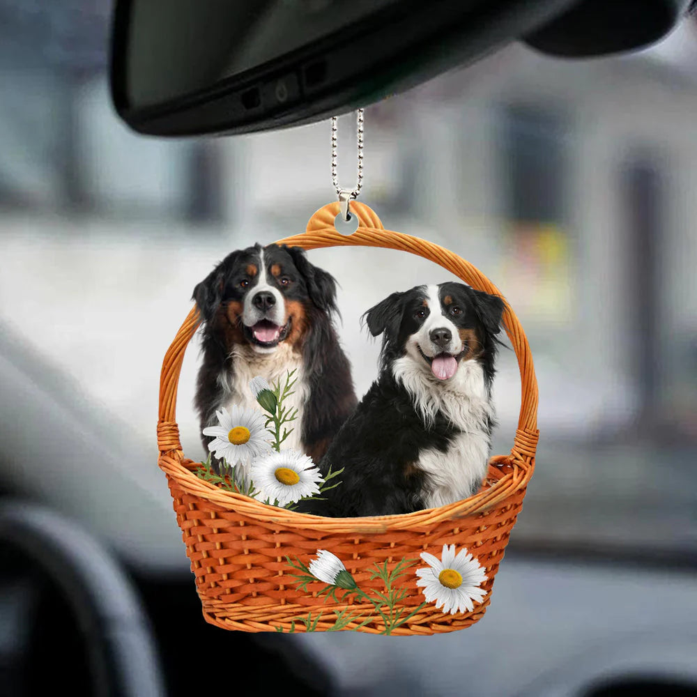 Berner sennenhond hanger