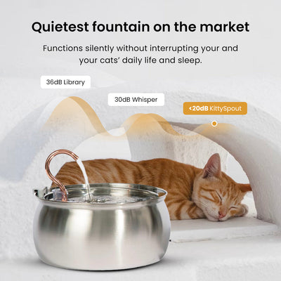 De Kittyfountain™ - Kattenset voor gezondheid en geluk