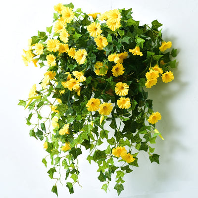 Planty hangbloemen