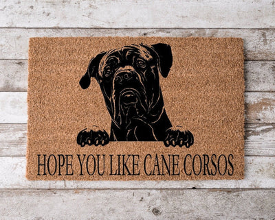 Cane Corso hond